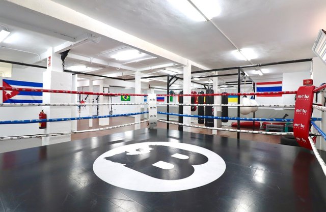 Escuela De Boxeo Boxearte.